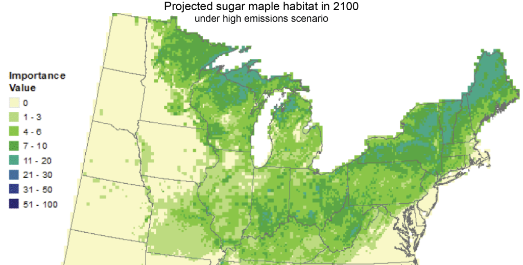 Map of projected sugar maple habitat in 2100 under high emissions scenario.