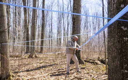 Adapting to Changes in Your Sugarbush